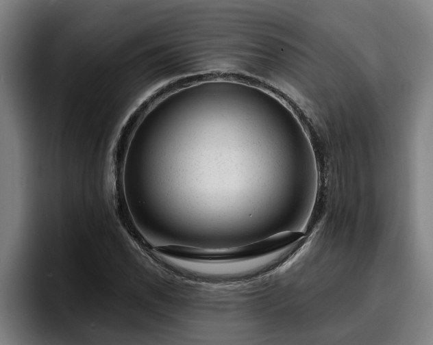 X0000094941118200712061225