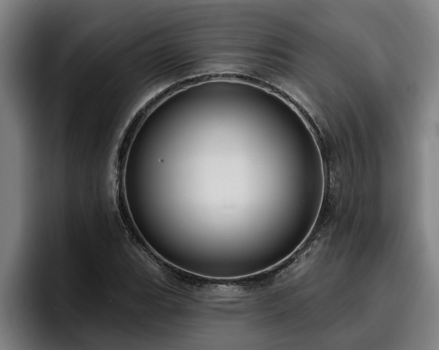 X0000094941119200712061225