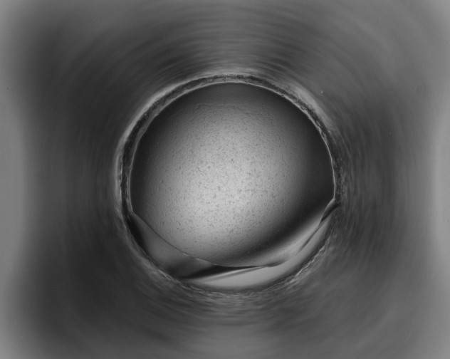 X0000094941124200712061226