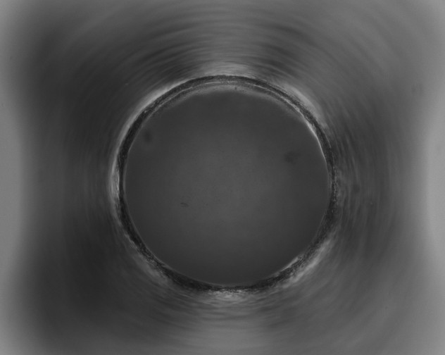 X0000094941125200712061226