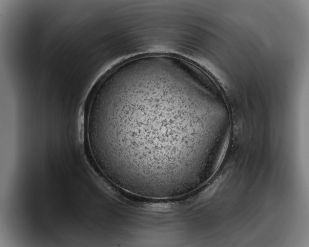 X0000094941126200712061226