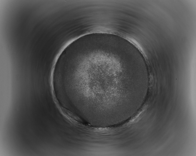 X0000094941128200712061226