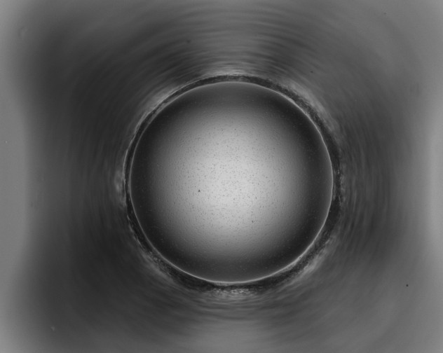 X0000094941129200712061226