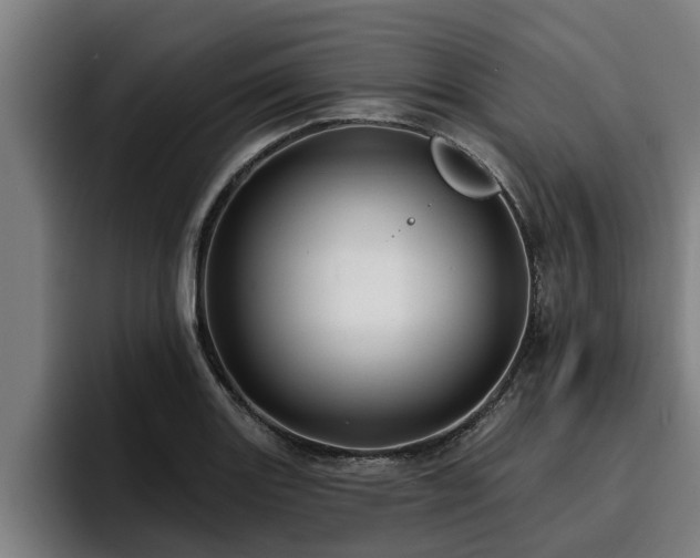 X0000094941131200712061226