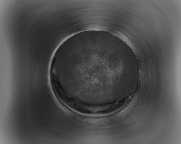 X0000094941132200712061226