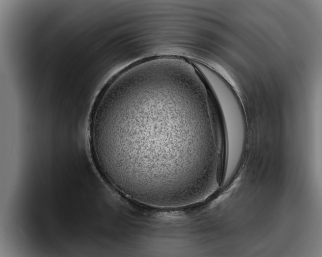 X0000094941133200712061226