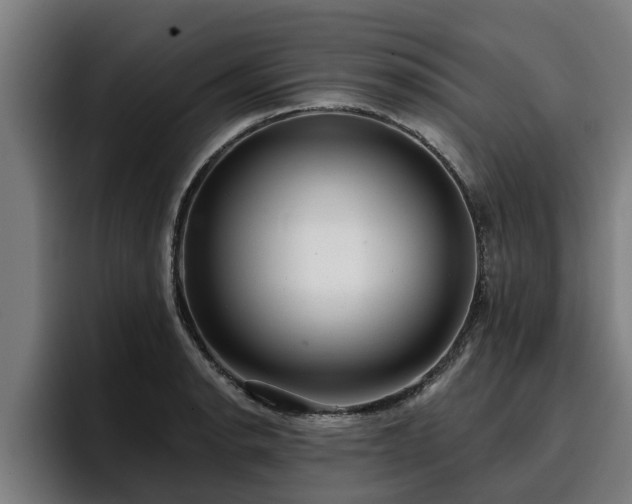 X0000094941134200712061226