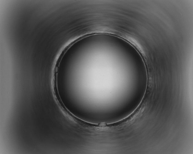 X0000094941136200712061226