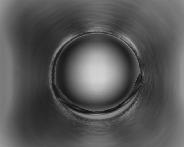 X0000094941138200712061226