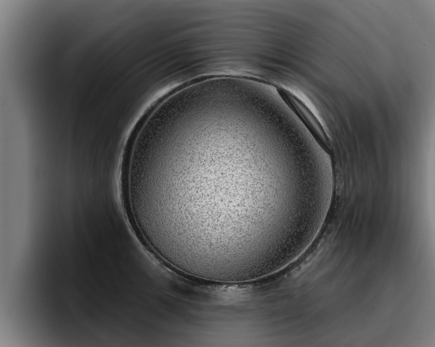 X0000094941139200712061226