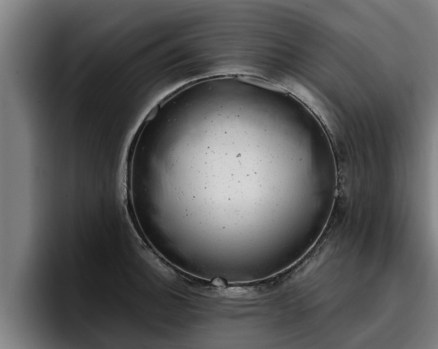 X0000094941140200712061226