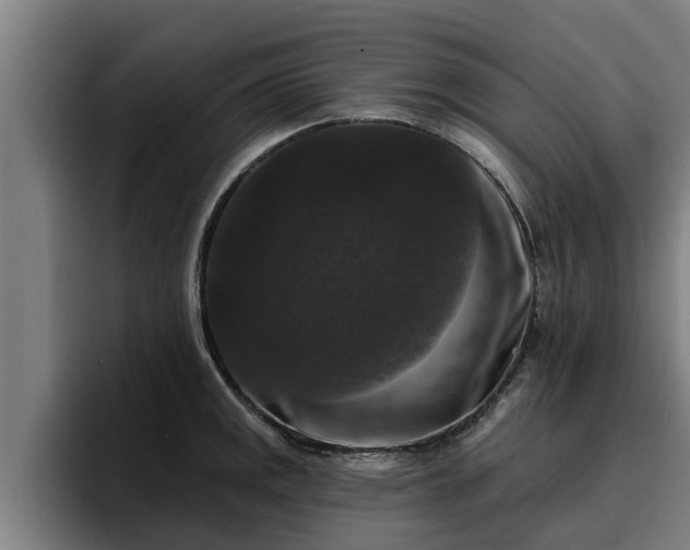 X0000094941141200712061226