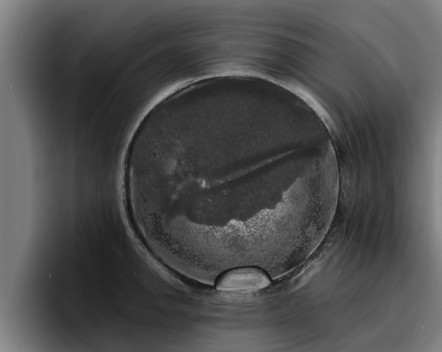 X0000094941142200712061226