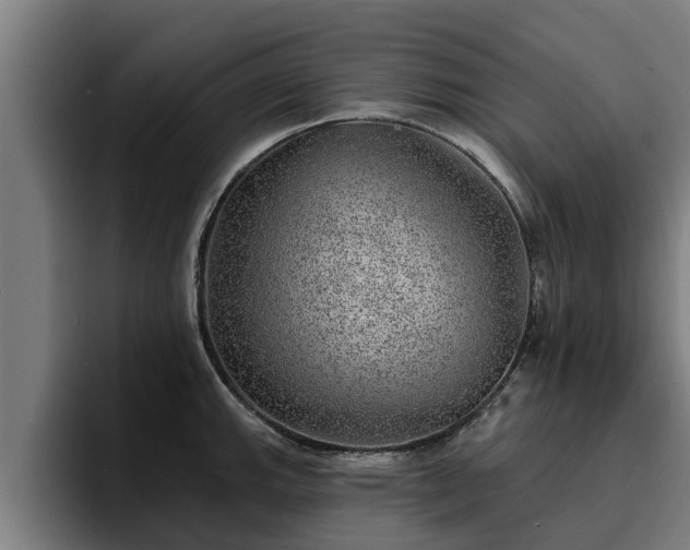 X0000094941143200712061226