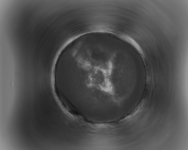 X0000094941144200712061226