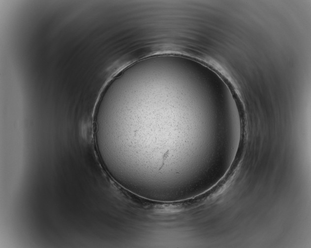 X0000094941145200712061226