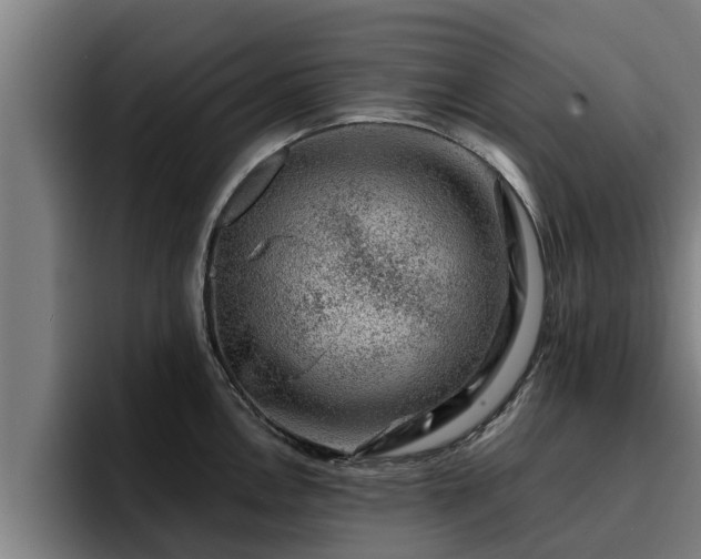 X0000094941146200712061226