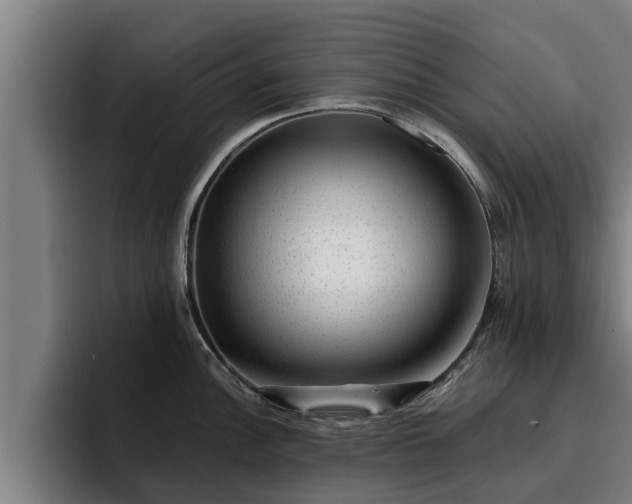 X0000094941148200712061226