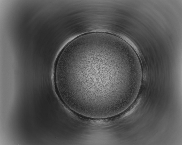 X0000094941149200712061226