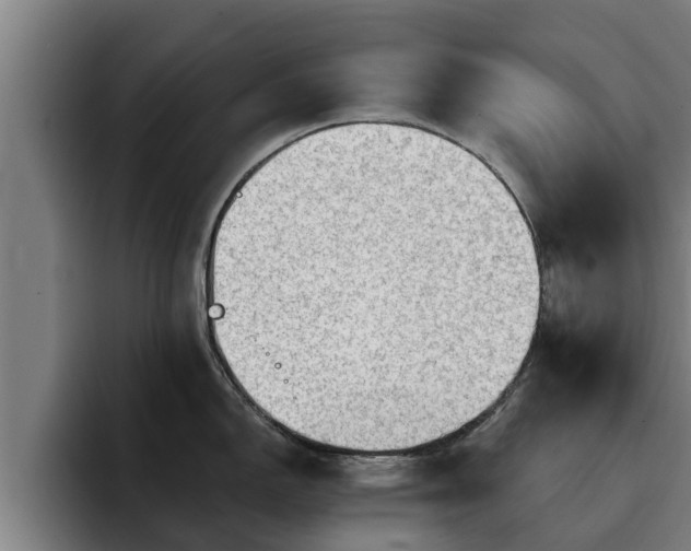 X0000094941150200712061226