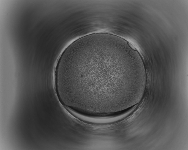 X0000094941151200712061226