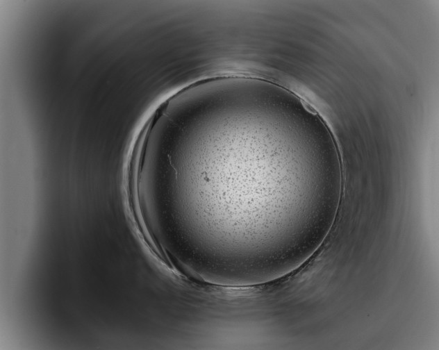 X0000094941152200712061226