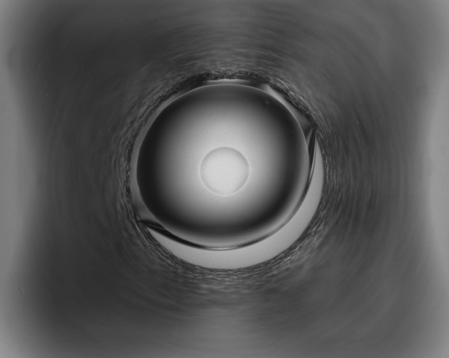 X0000094941153200712061225