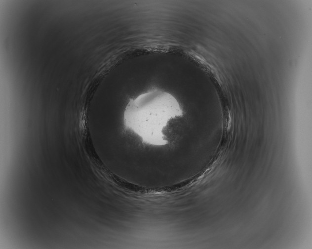 X0000094941154200712061225