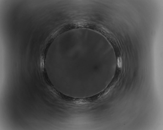 X0000094941155200712061225