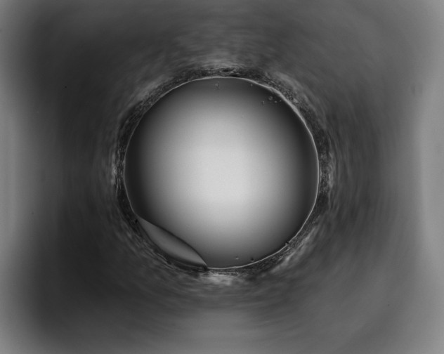 X0000094941157200712061225