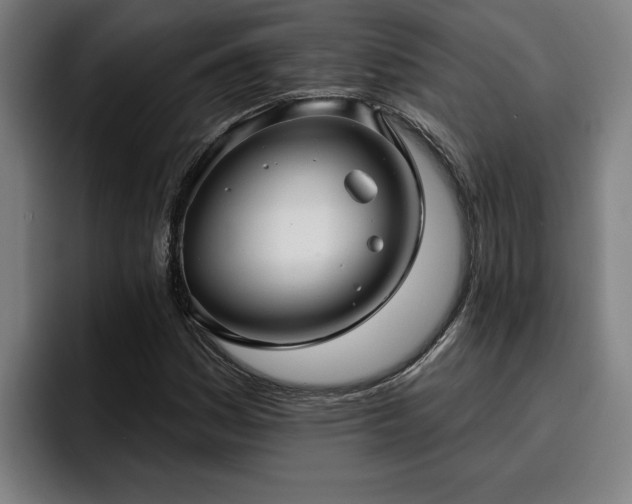 X0000094941161200712061225