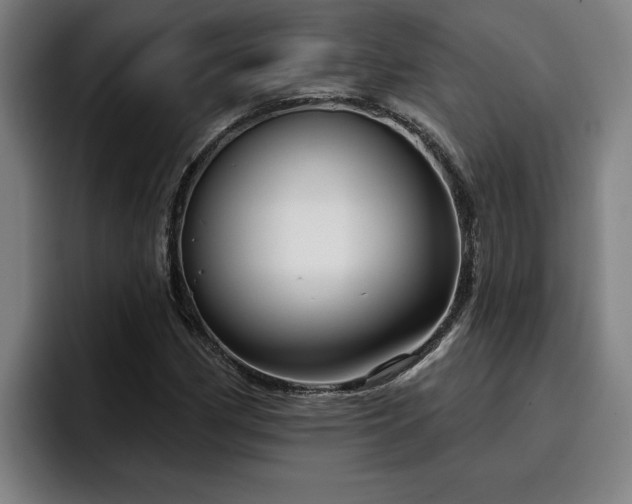 X0000094941162200712061225