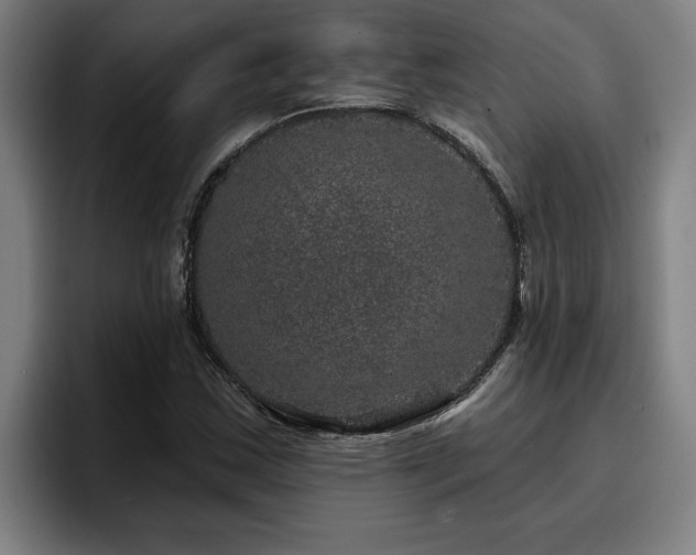 X0000094941163200712061225