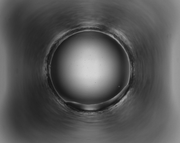 X0000094941164200712061225