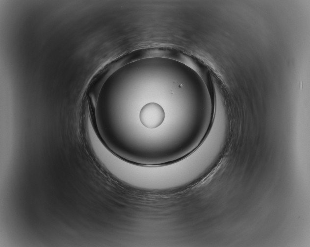 X0000094941165200712061225