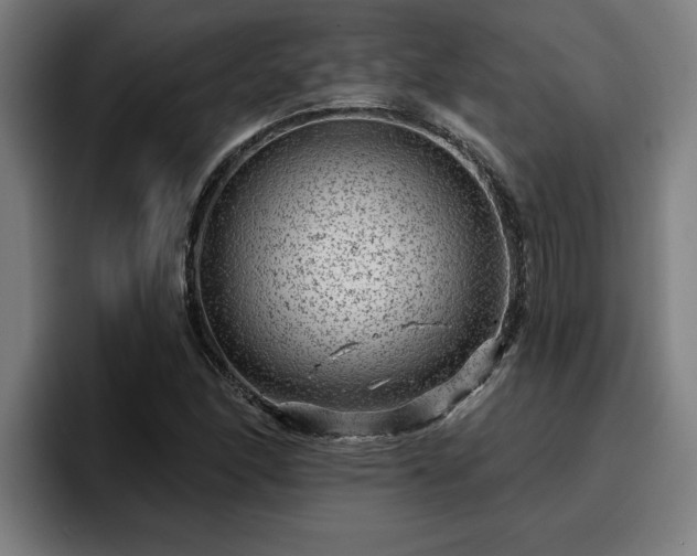 X0000094941166200712061225