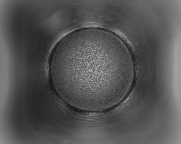 X0000094941167200712061225