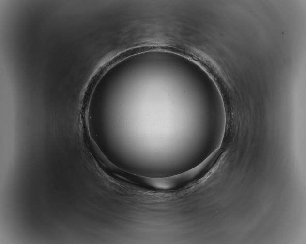 X0000094941168200712061225