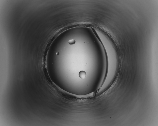 X0000094941169200712061225