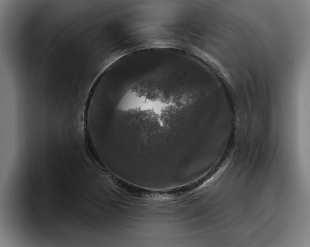 X0000094941170200712061225