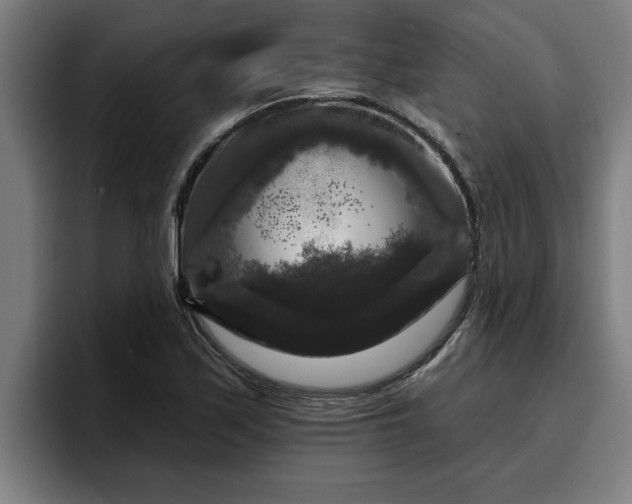 X0000094941171200712061225