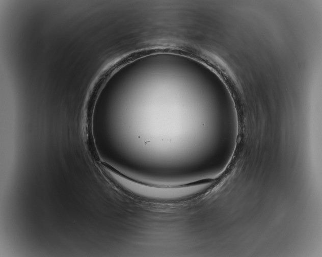 X0000094941172200712061225