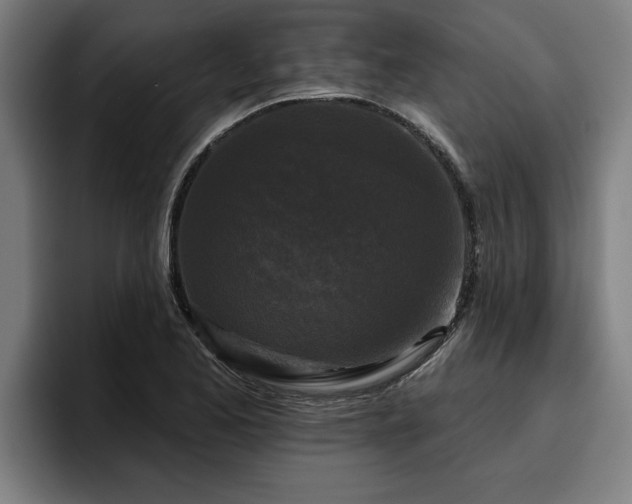 X0000094941173200712061225