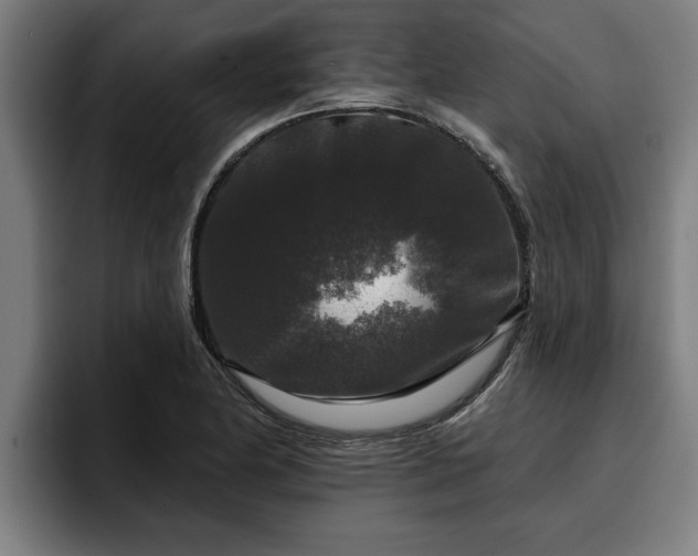 X0000094941174200712061225