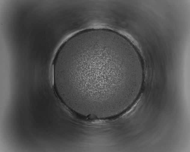 X0000094941175200712061225