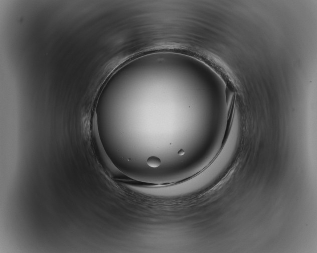 X0000094941177200712061225