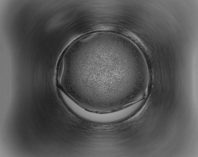 X0000094941178200712061225