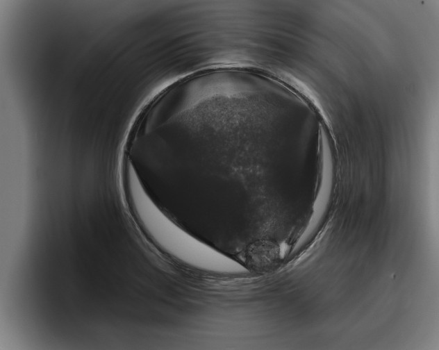 X0000094941179200712061225