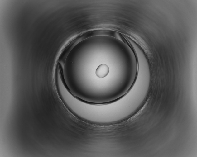 X0000094941180200712061225