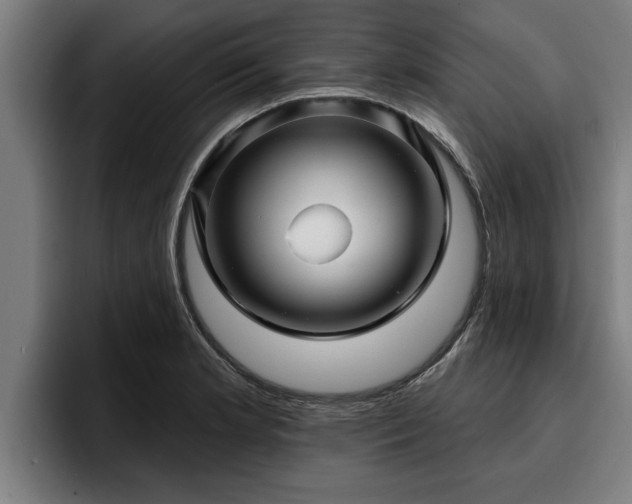 X0000094941181200712061225